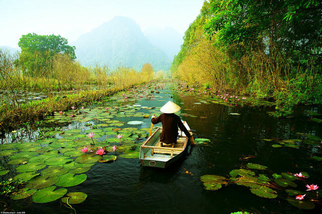 hang trieu nguoi sung so sau khi bao tay chia se loat anh viet nam dep me hon hinh anh 11