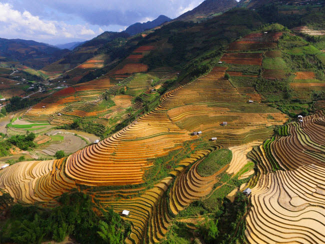 hang trieu nguoi sung so sau khi bao tay chia se loat anh viet nam dep me hon hinh anh 17