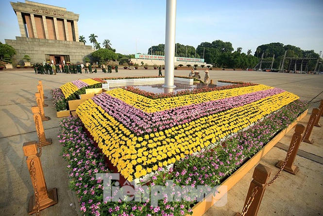 Những người thợ tận tâm dệt những thảm hoa, vườn cảnh quanh Lăng Bác - ảnh 13
