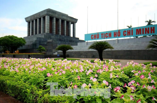 Những người thợ tận tâm dệt những thảm hoa, vườn cảnh quanh Lăng Bác - ảnh 15