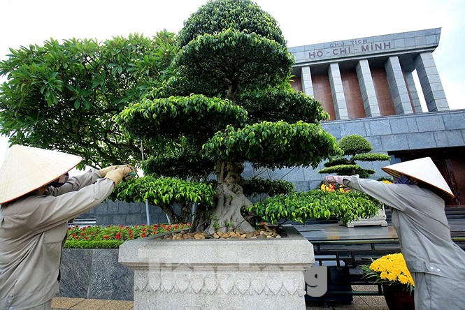 Những người thợ tận tâm dệt những thảm hoa, vườn cảnh quanh Lăng Bác - ảnh 1