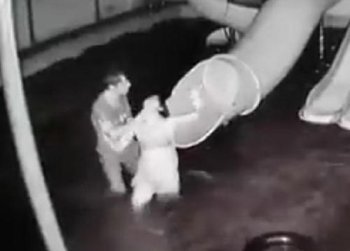 Vụ chồng đánh đập vợ từ dưới nước lên tận bờ: Lời cay đắng của vợ hình ảnh 1 vu chong danh dap vo tu duoi nuoc len tan bo: loi cay dang cua vo hinh anh 1