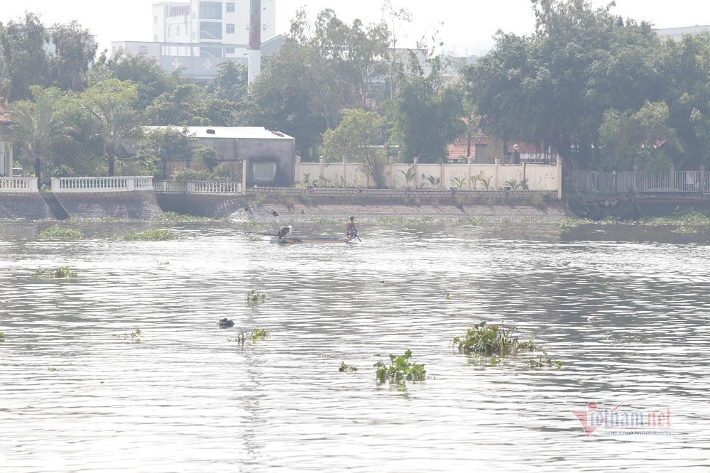 Cá phóng sinh Rằm tháng Bảy chưa kịp bơi đã bị chích điện
