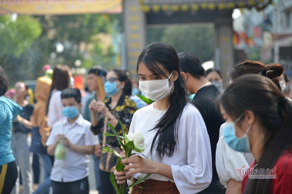 Cá phóng sinh Rằm tháng Bảy chưa kịp bơi đã bị chích điện