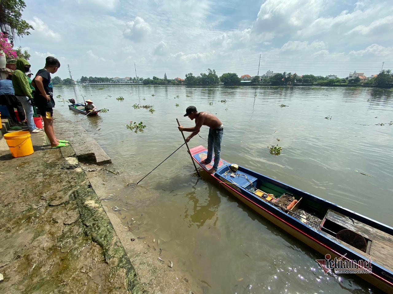 Cá phóng sinh Rằm tháng Bảy chưa kịp bơi đã bị chích điện