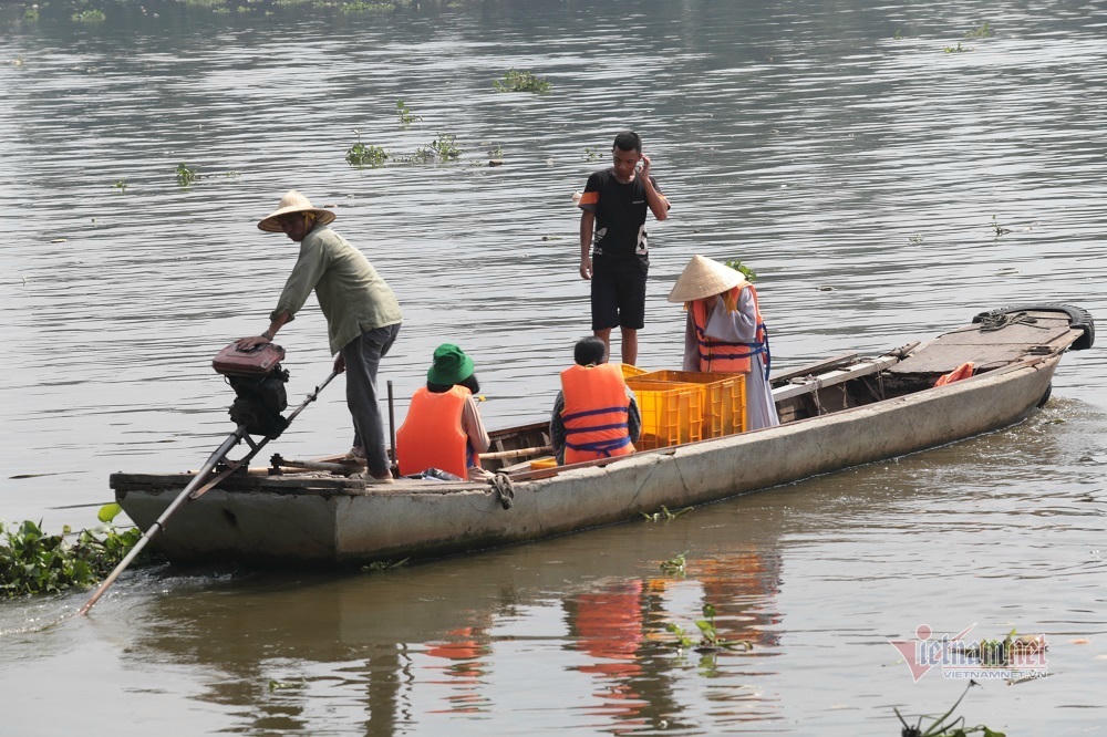 Cá phóng sinh Rằm tháng Bảy chưa kịp bơi đã bị chích điện
