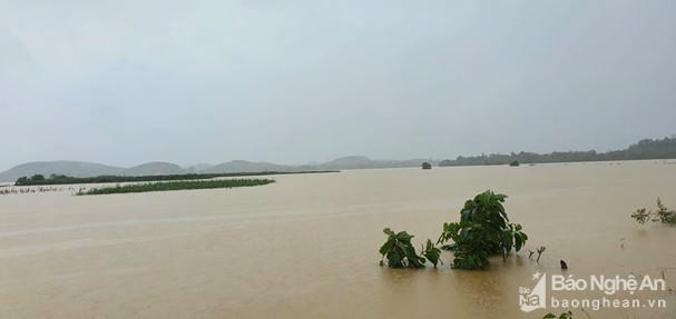 Đã có 2 người mất tích vì lũ lụt ở Thanh Chương