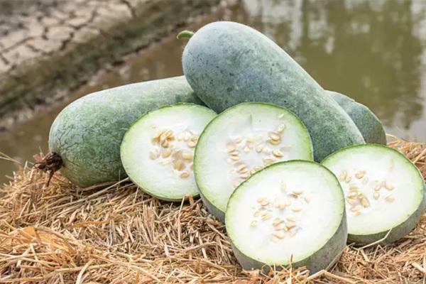 Tác dụng của bí xanh và những món canh vừa ngon, vừa mát ngày hè - Ảnh 3.