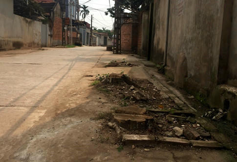 ha noi ra cong van khan cam tu y chat cay xanh khi dep via he  hinh 3