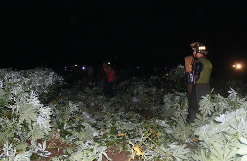 Hiện trường rẫy khoai mì nơi phát hiện thi thể nghi can. Ảnh: Phước Tuấn