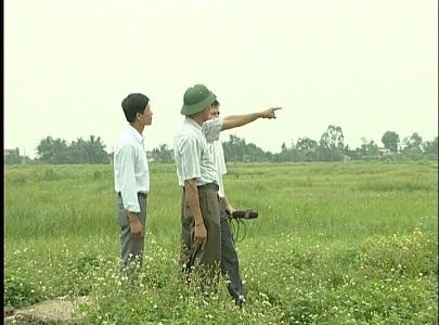 Ruộng lúa biến thành cỏ hoang