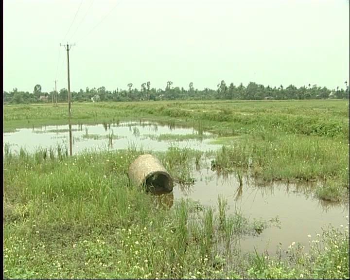 Mương tưới tiêu bị đạp phá tan hoang