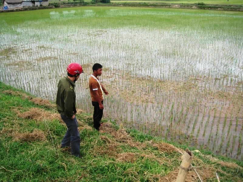 Nơi xảy ra vụ án