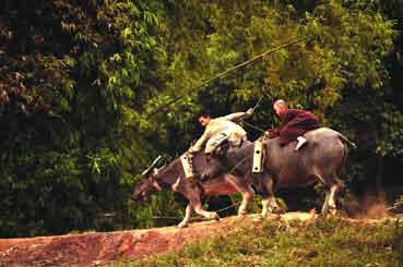 Một cảnh trong phim