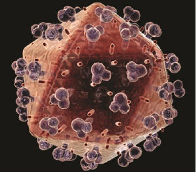 20 năm trước, virus HIV lần đầu được phát hiện tại Việt Nam