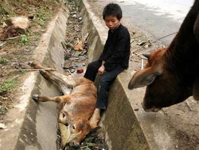 Ảnh minh họa. Nguồn Internet