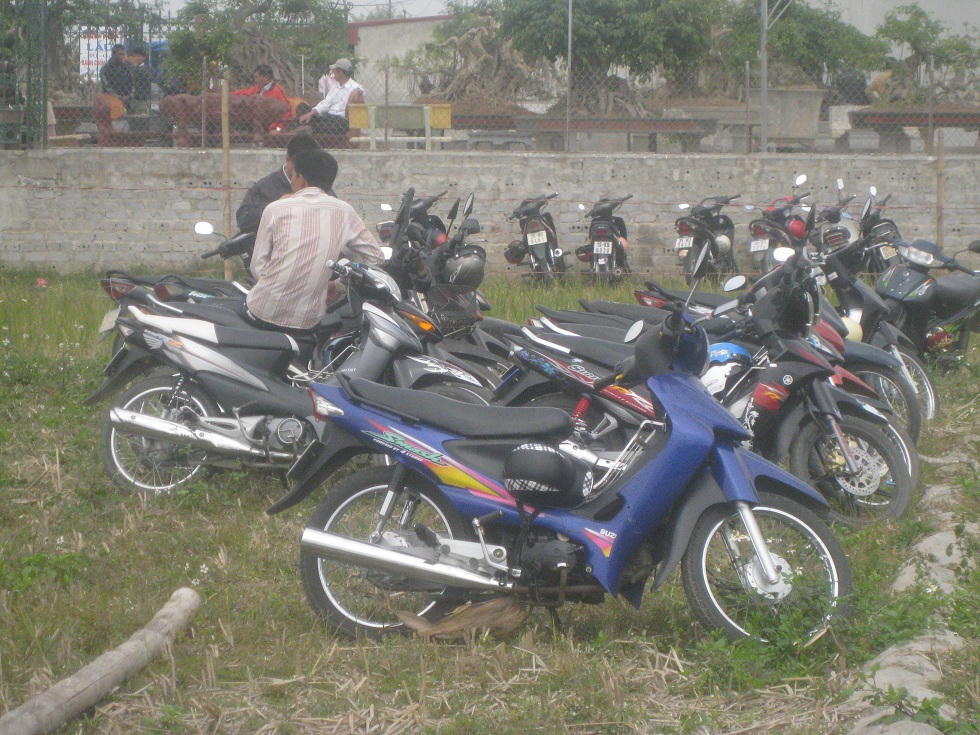 Trông xe dưới ruộng