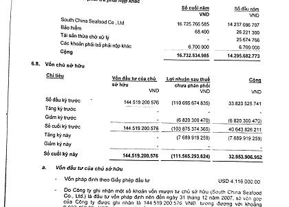 Báo cáo tài chính năm 2007 của Công ty Duyên Hải nhận 144,5 tỷ từ SCS