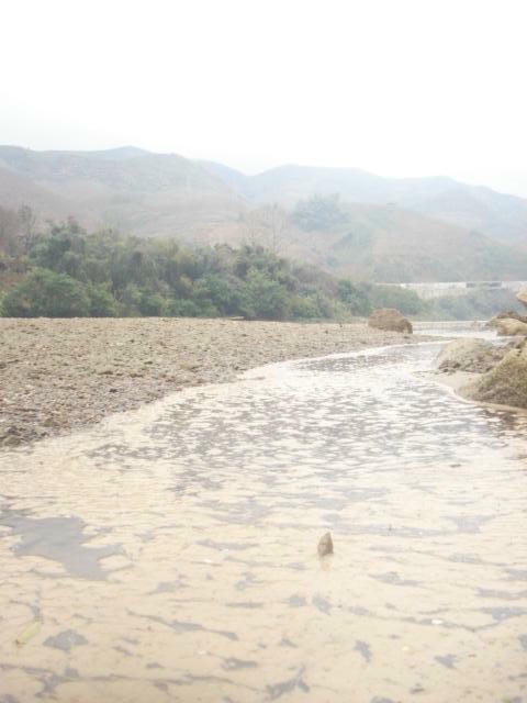 Nhiều đoạn sông Hồng chảy qua tỉnh Lào Cai bị váng màu vàng phủ kín