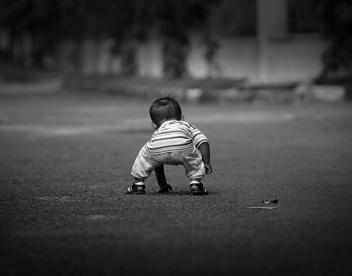 Con ơi, dũng cảm đứng lên nào. Ảnh minh họa nguồn Internet.