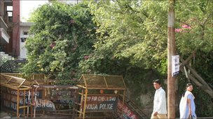 Những cây bougainvillea mọc um tùm đã bao quanh nhà D5