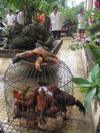 Tang vật bị bắt giữ.