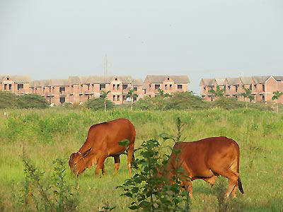 Ảnh chỉ mang tính minh họa
