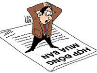 Ảnh minh họa nguồn Internet