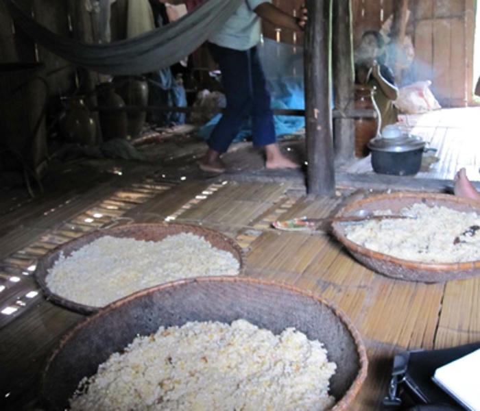 Cảnh làm rượu...