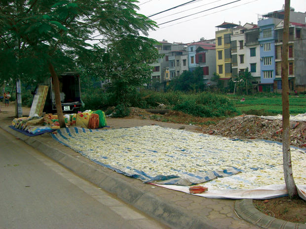 Công nghệ “sấy” mứt Tết bên hè đường. Ảnh: MH