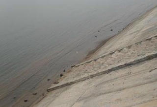 Hiện trường nơi phát hiện xác phụ nữ xấu số.