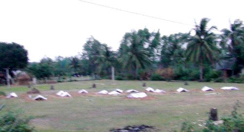 Hiện trường xảy ra vụ án 21 ngôi mộ