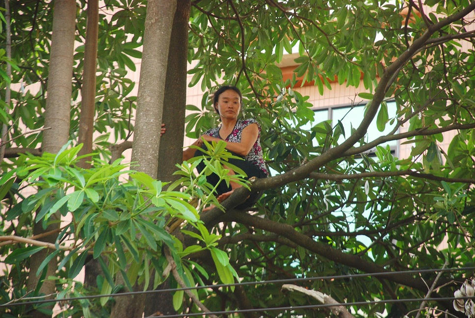 Rất may người phụ nữ này đã được cứu sống.