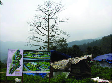 Như vậy, mốc cây gạo, tưởng như chỉ vu vơ, mập mờ, giờ đây được lấy làm mốc chính thức để đo đạc khảo sát cho dự án của công ty Trường Giang.