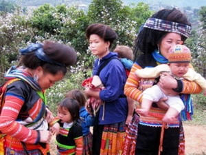 Ảnh chỉ mang tính chất minh họa