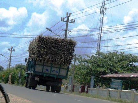 CSGT chặn xe mía trước trụ sở UBND xã Đức Bình Tây.