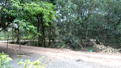 khu đất đang tranh chấp