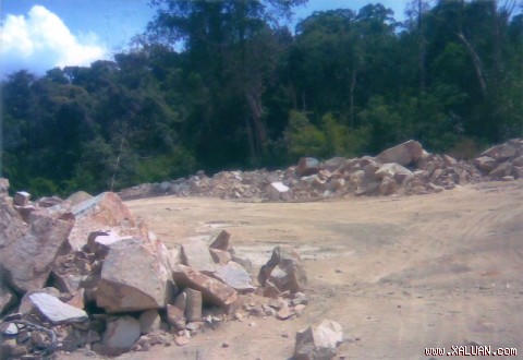 Một góc khu bảo tồn Núi Ông bị tàn phá nghiêm trọng