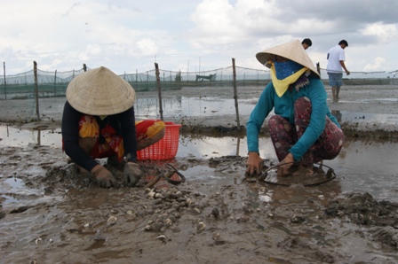 Lao động Cà Mau mới chỉ 30% được qua đào tạo