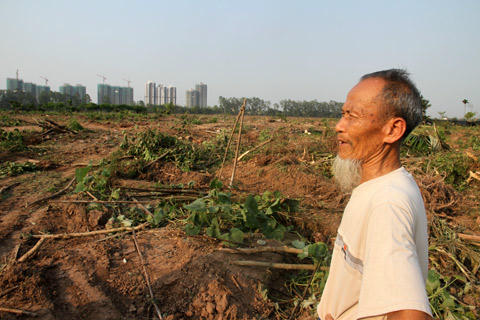 Một người dân thẫn thờ trước khu vườn vừa bị cưỡng chế
