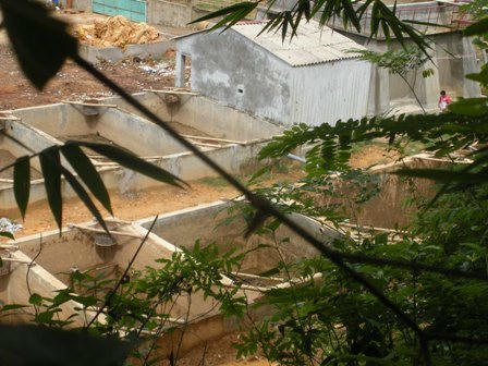 Các bể chứa của công ty ban ngày cạn ráo.