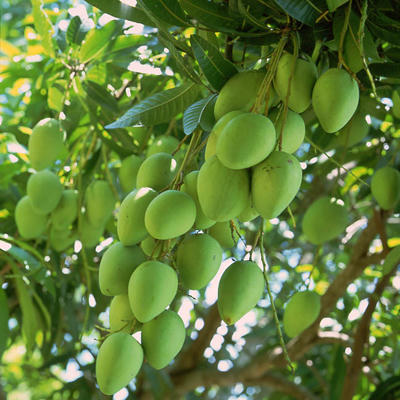 Hình chỉ mang tính minh họa