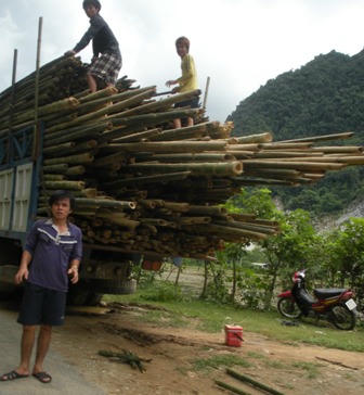 Chiếc xe Luồng được tấp cao chót vót như thế này vẫn thường xuyên tư do lưu thông trên tuyến QL 15 ( ảnh chụp lúc 13 giờ 47 phút ngày 7/7 tại xã Thiết Kế - Bá Thước).