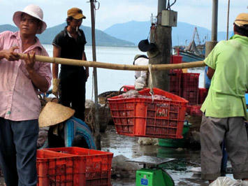 Lao động đặc thù sẽ được tăng