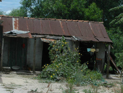 Một căn nhà có người bị bệnh