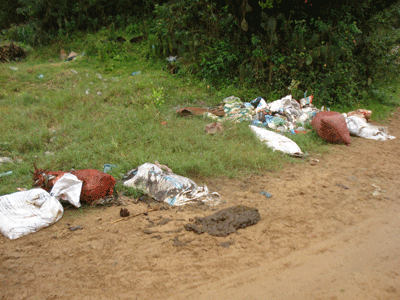 Xung quanh thành Cha chỉ là rác và phân bò