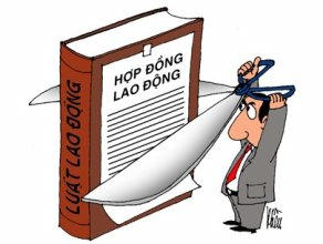 Hình minh họa. Nguồn Internet