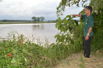 Ông Huỳnh Thuận, trưởng thôn Tứ Câu chỉ tay về nơi bọn cát tặc thường xuyên khai thác vào buổi tối trong thời gian gần đây