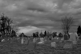 Ảnh chỉ mang tính chất minh họa