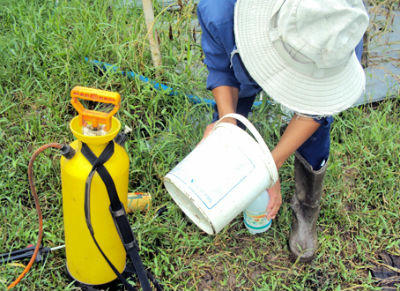 Có trên 6% mẫu rau quả kiểm tra nhiễm thuốc bảo vệ thực vật bị cấm sử dụng. Ảnh: MH